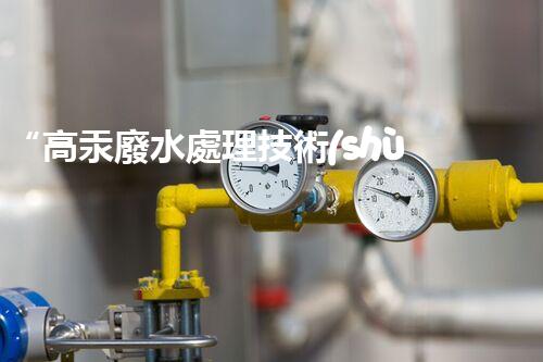 “高汞廢水處理技術(shù)，綠色環(huán)保新篇章”